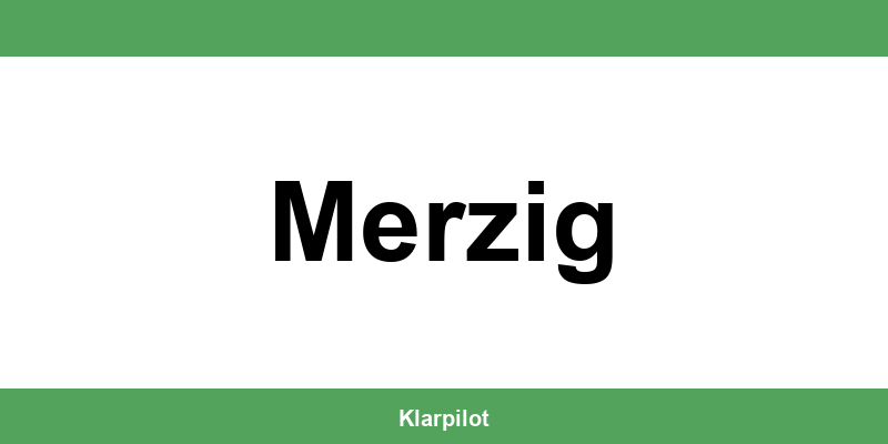 Straßenverkehrsamt Merzig – Termin online und Öffnungszeiten