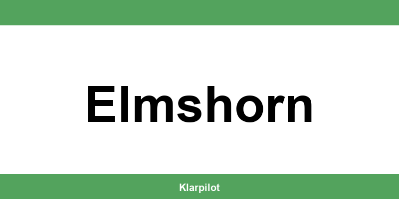 Straßenverkehrsamt Elmshorn – Termin online und Öffnungszeiten